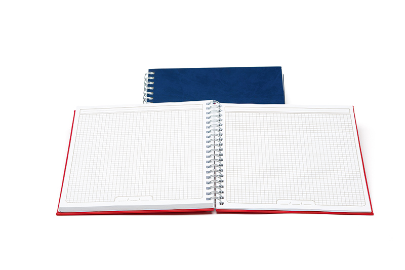 Agenda premier 20.5 x 26 cm 208 pagini